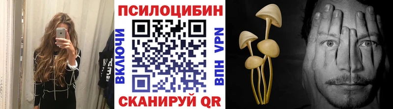 Псилоцибиновые грибы Cubensis  Купить  Усть-Джегута 